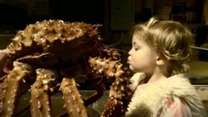 Red Alaska King Crab at Rodney's